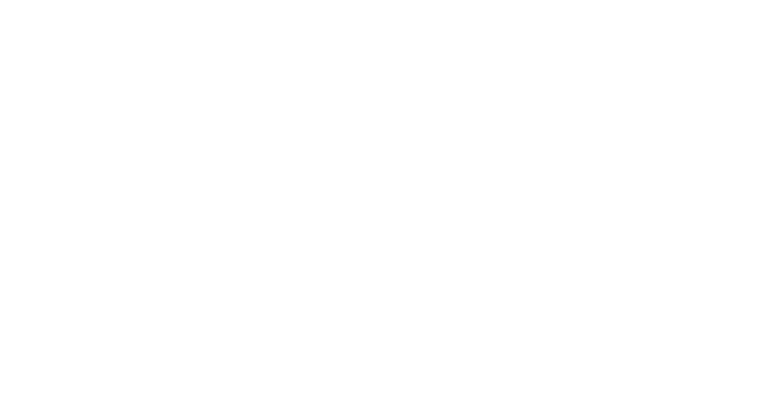 Never Loses 1